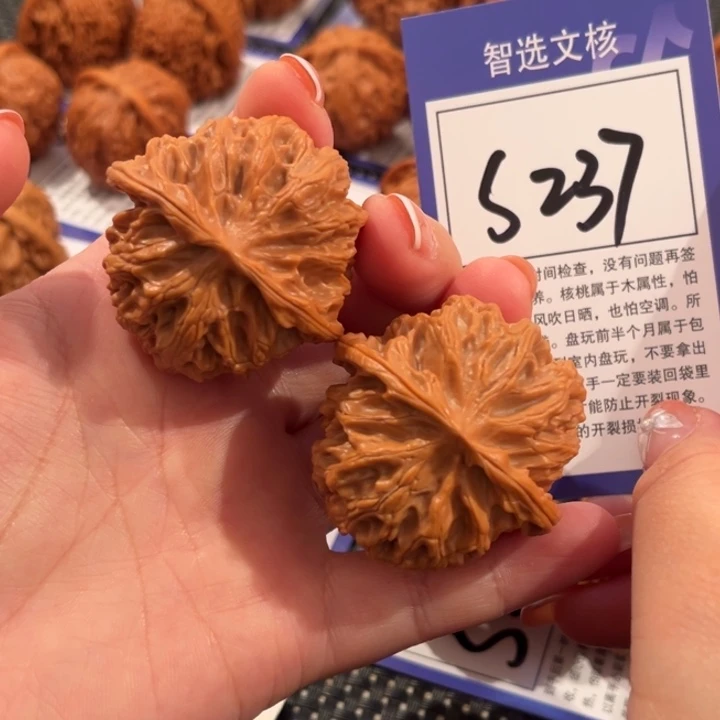 核桃S237号苹果园43尺