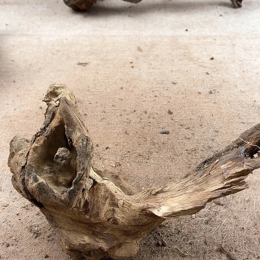 木李****人黄花梨随形料子