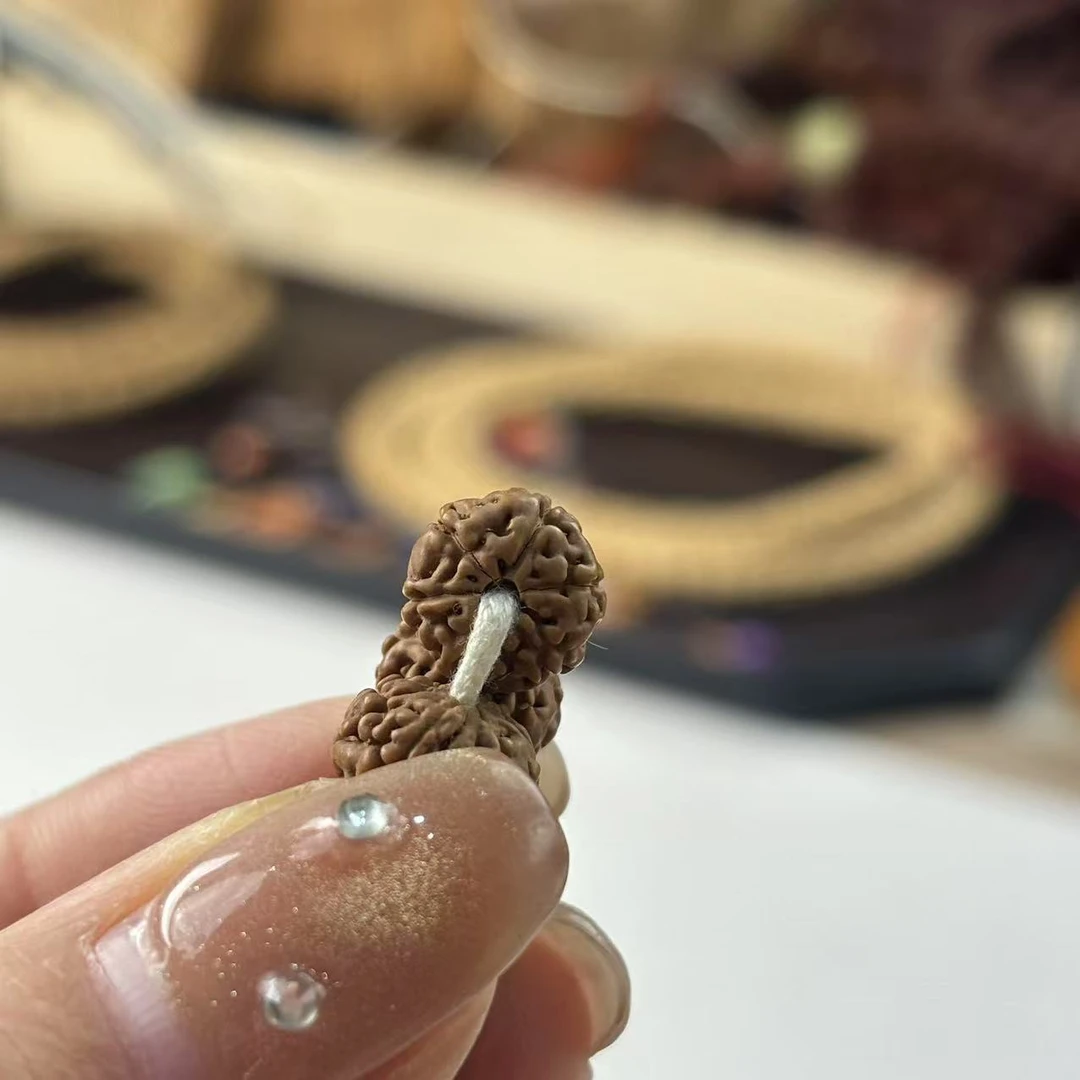 《大嫂》勿里达六瓣老树王108金刚菩提10-11+mm左右