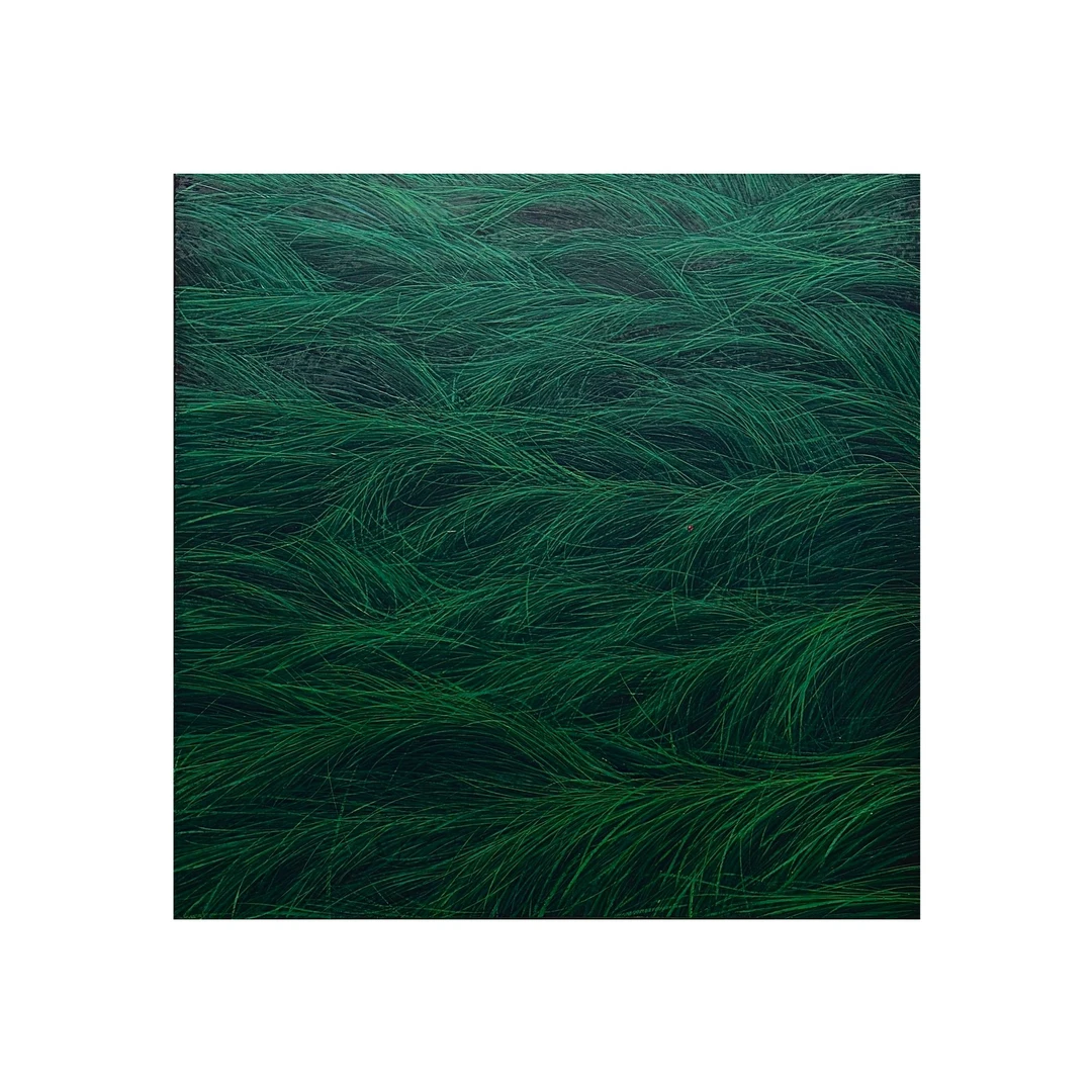 蹬红走绿 |  何田 当代艺术家 植物小草线条油画原作绘画艺术收藏