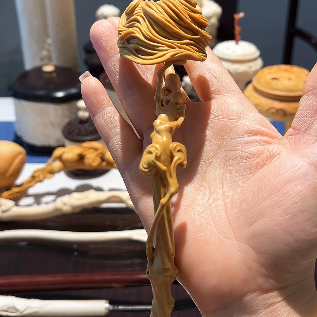 黄杨木无***7小叶黄杨木