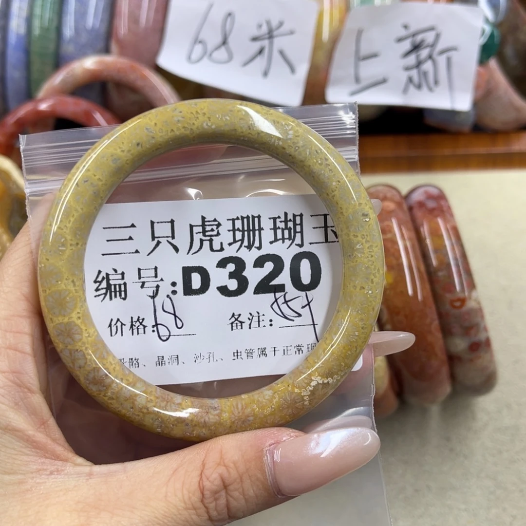 秋***宝硅化珊瑚（珊瑚玉）未镶嵌h