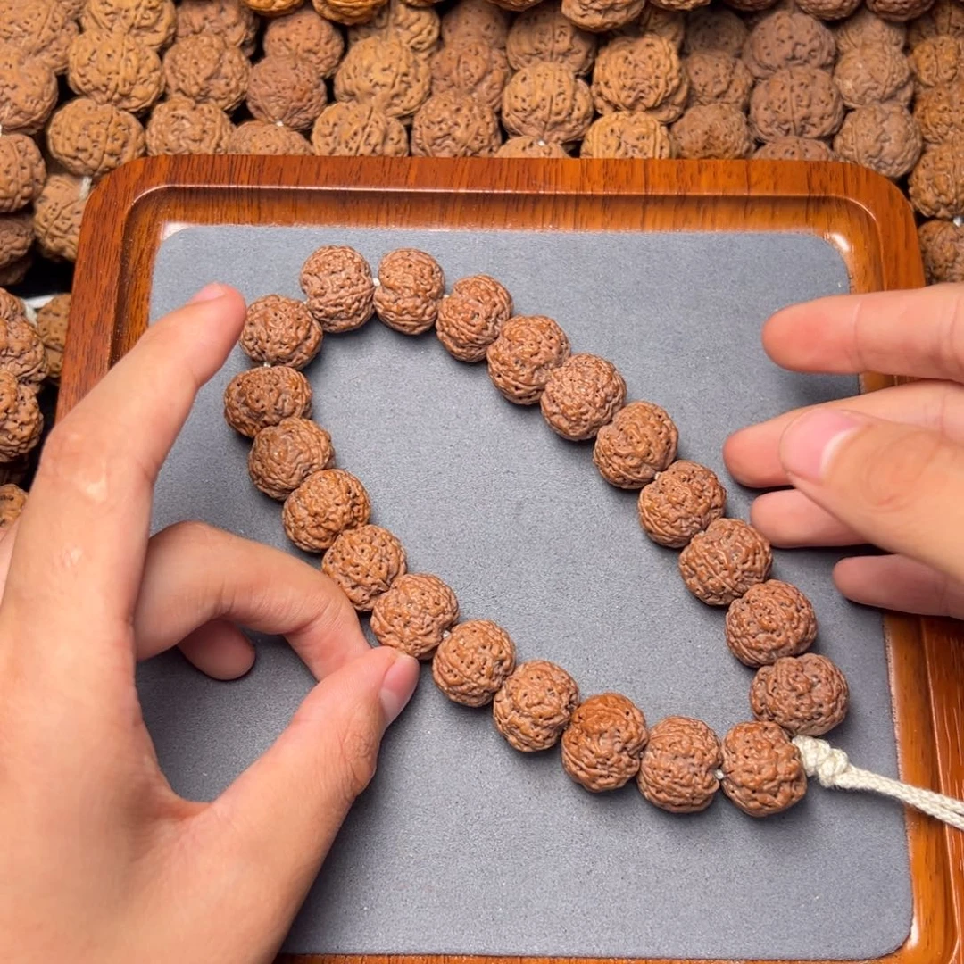 菩提5号尼泊尔大金刚18五星满肉