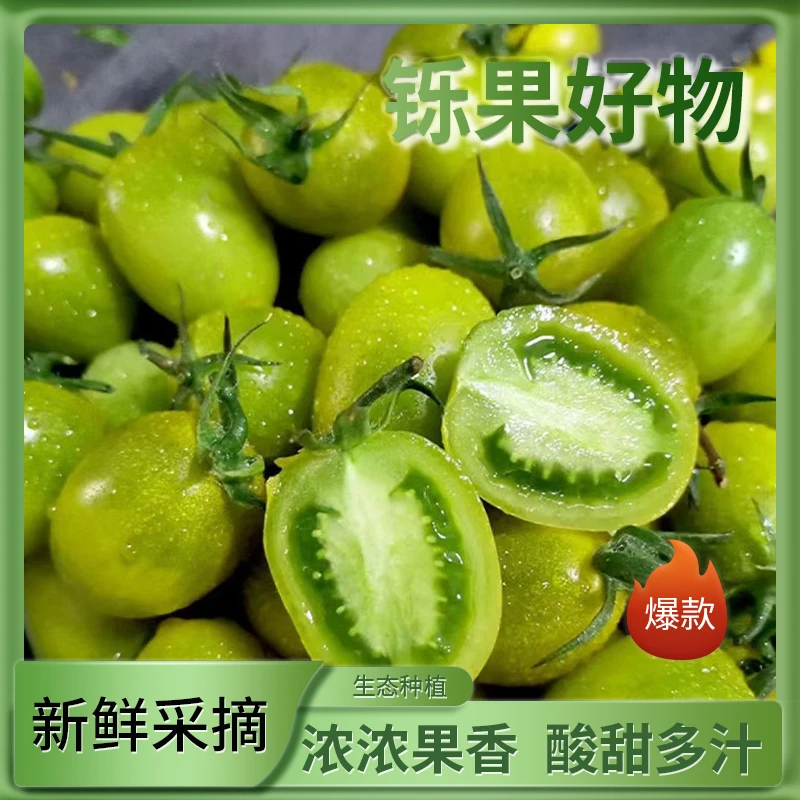 寿光原产地青甜2号测糖小番茄酸甜可口自然成熟吃完还想吃坏包赔
