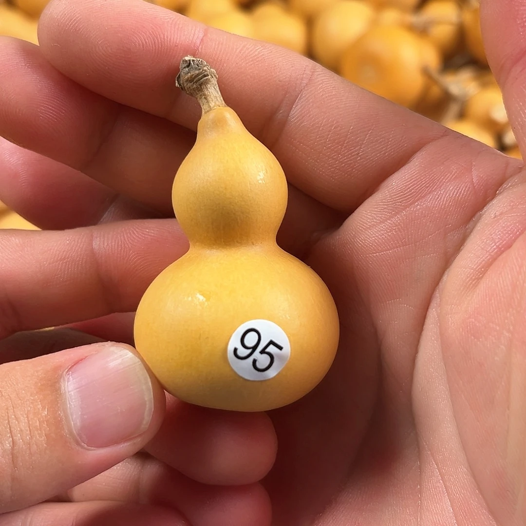 一葫芦葫芦葫芦葫芦95