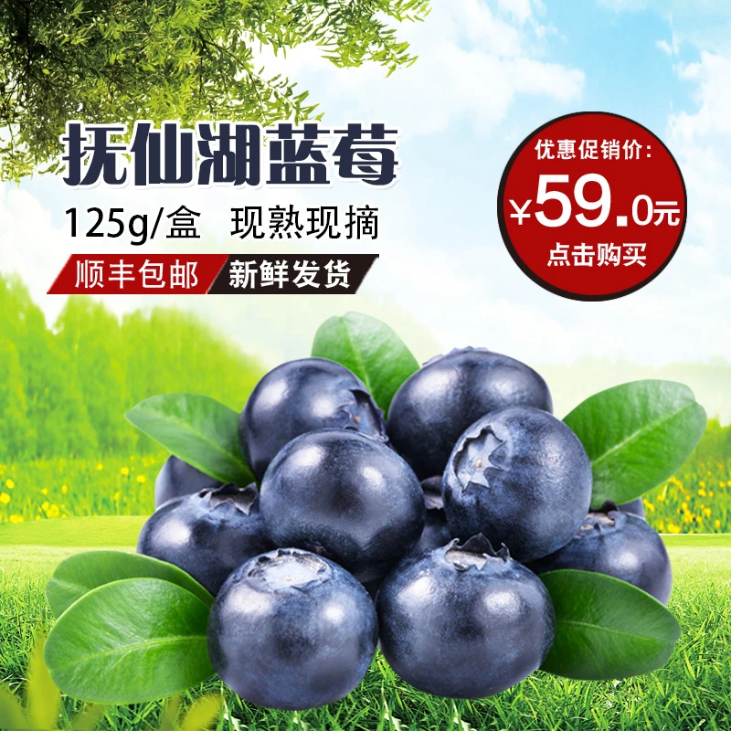 【基地直采4-8盒装】云南澄江当季新鲜蓝莓125g/盒装顺丰包邮