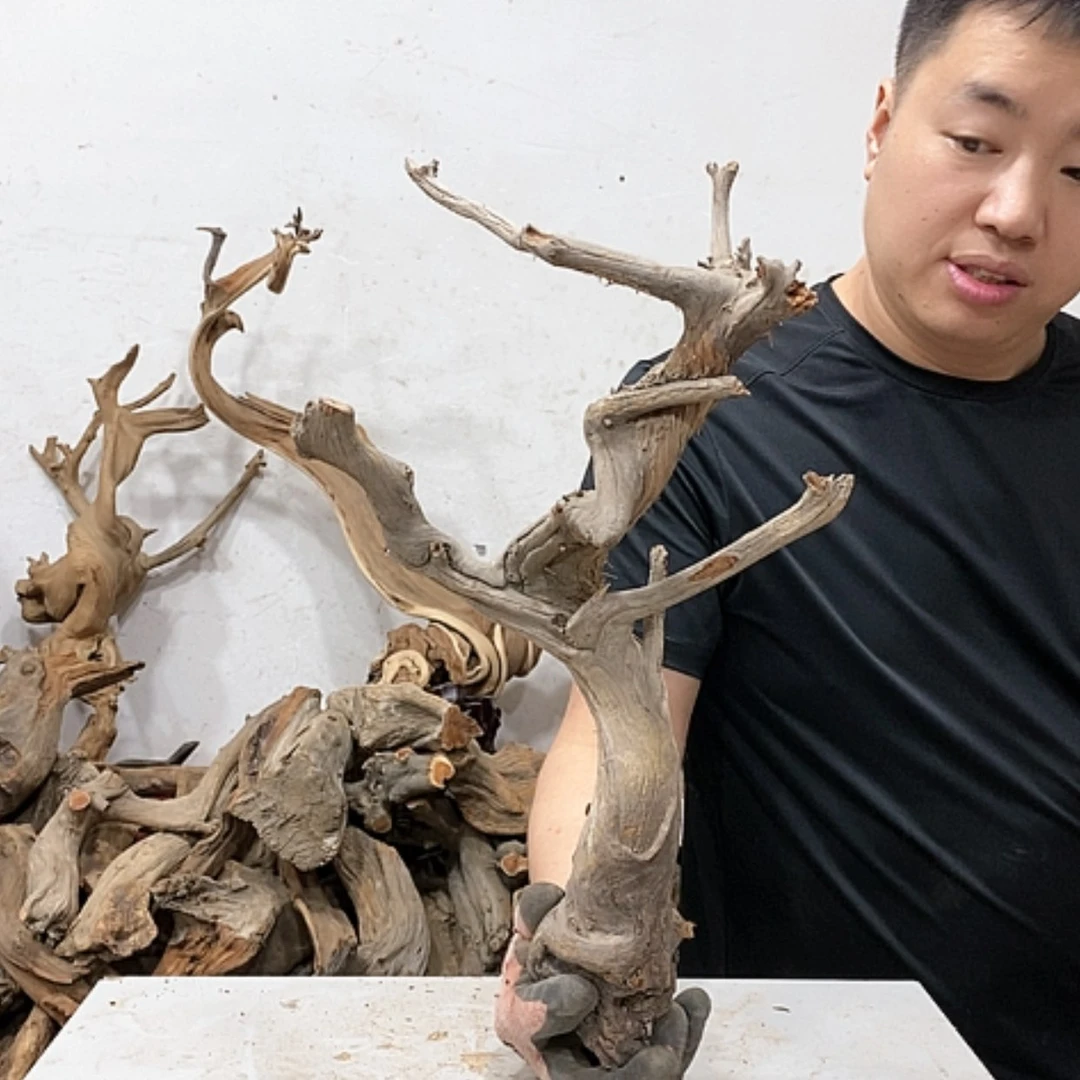 【闪购商品】柏木闻**香我们都是好孩子