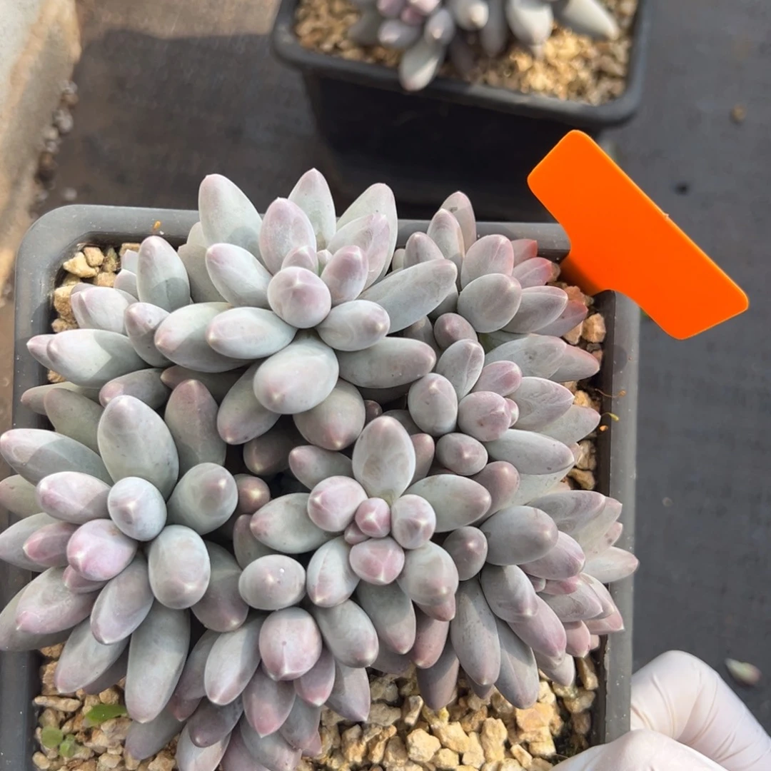 151111111111111111111111