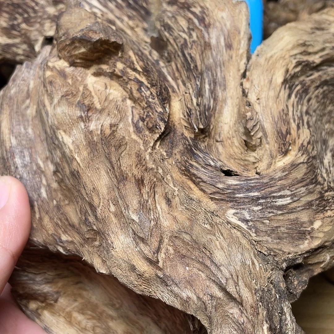 极***沉香达拉干原料231克