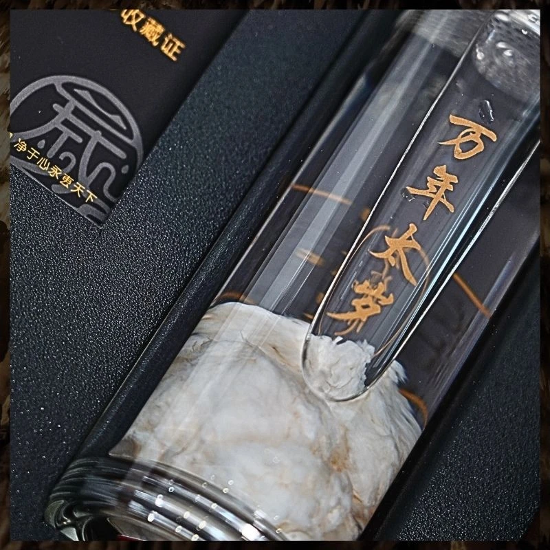 石太岁不可泡水用