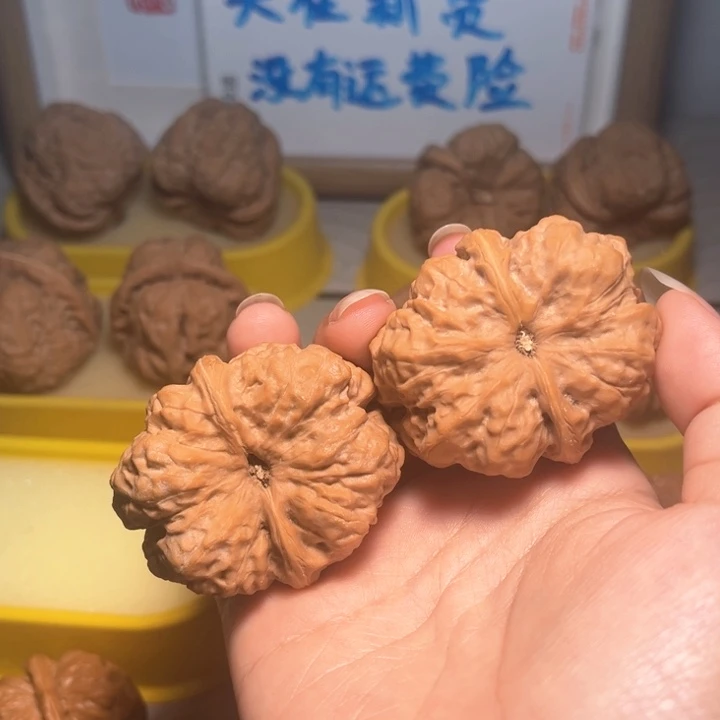 核桃荒蛙蛙42。。。。。。。。。。