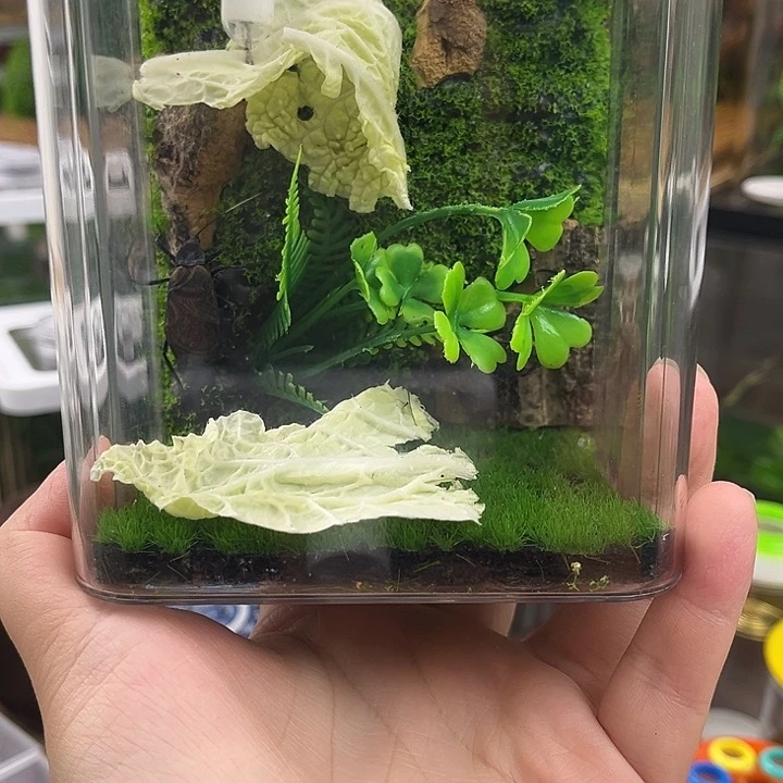 拍下带一麒麟一电报铃