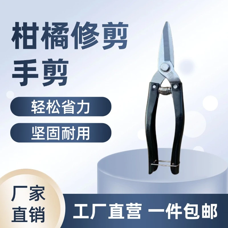 直播专享不锈钢多功能摘果剪修枝神器果园采果剪圆头果子剪