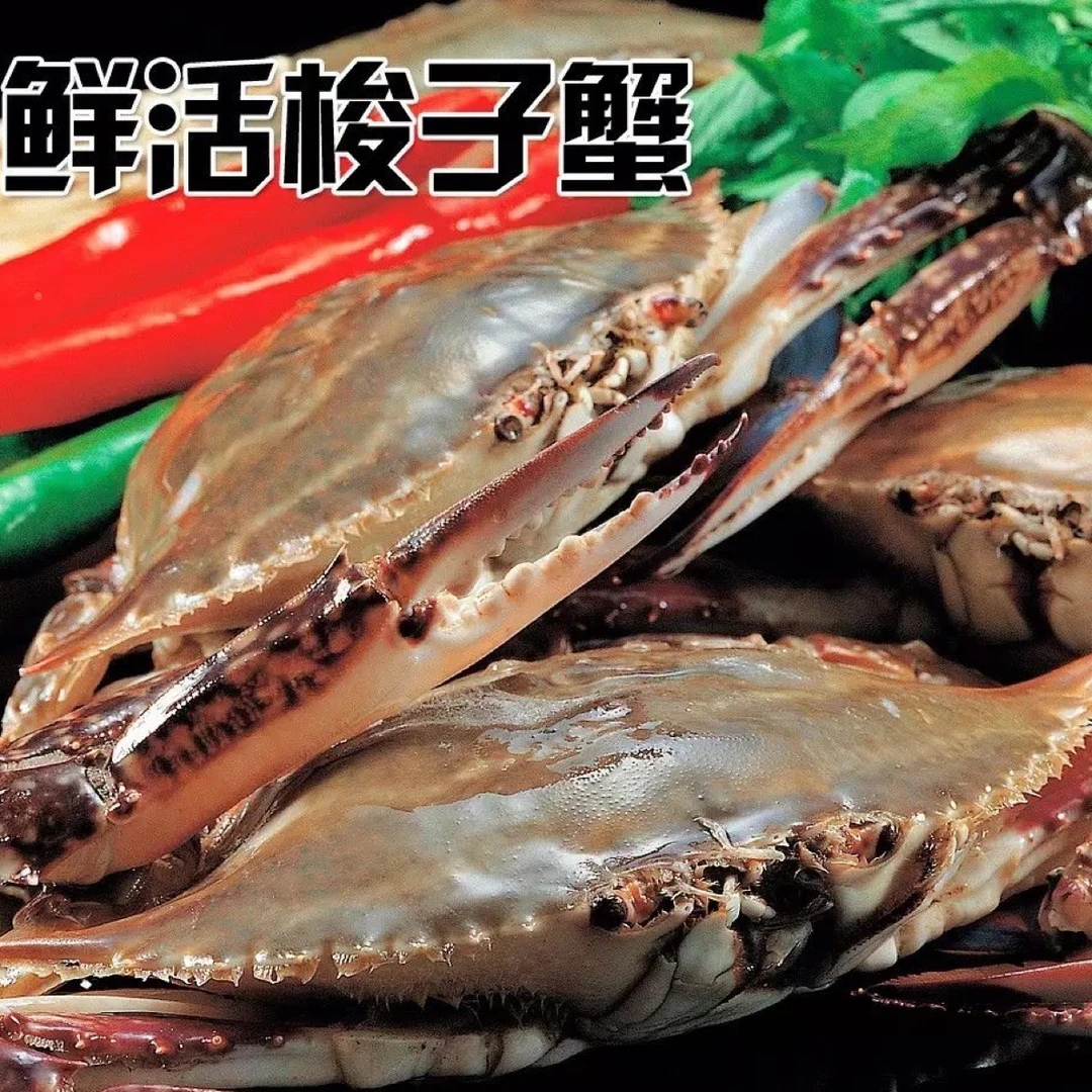 【鲜活】丹东山东巨无霸大个梭子蟹单只7 - 9两【保鲜不保活】2斤