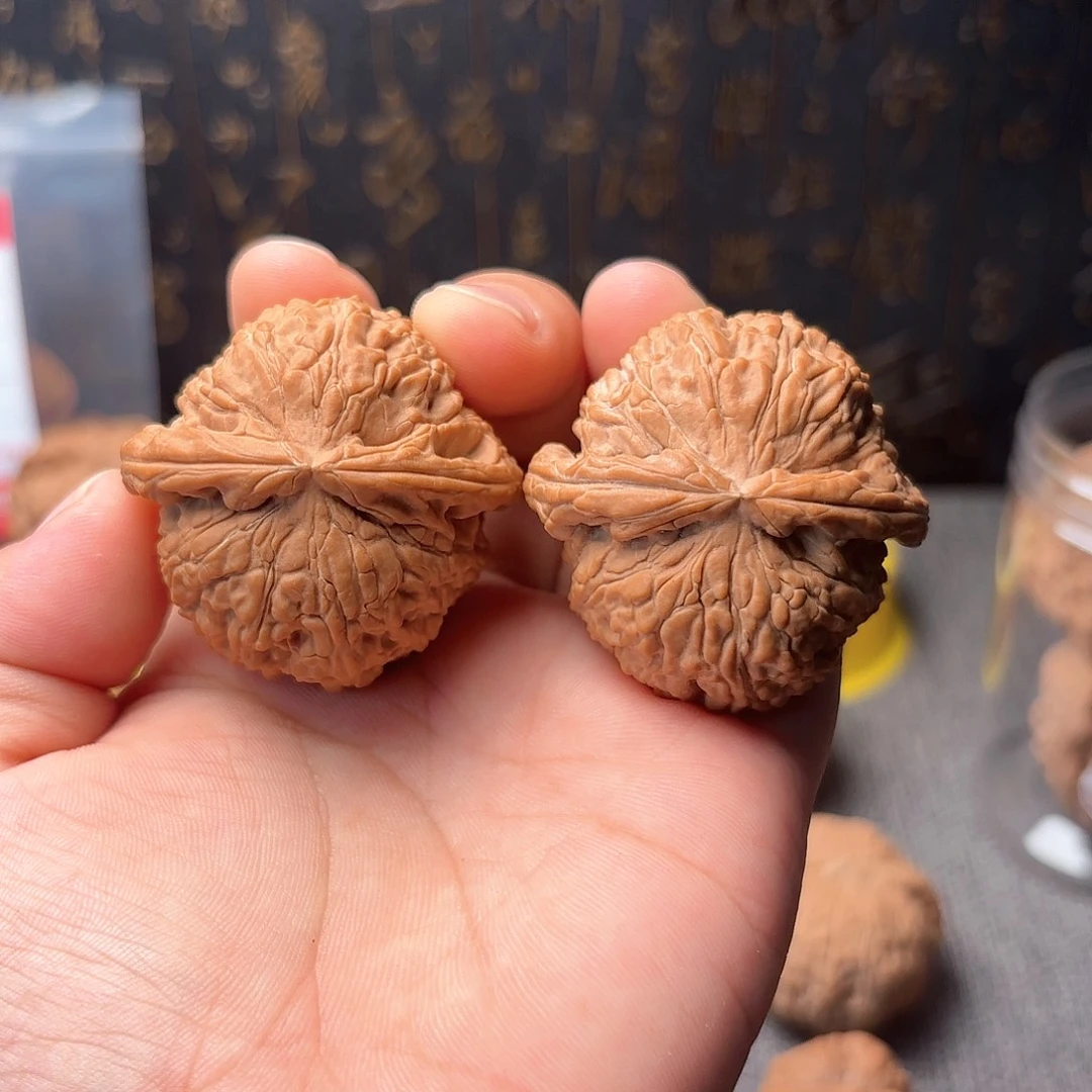 文玩核桃手串白狮子全品