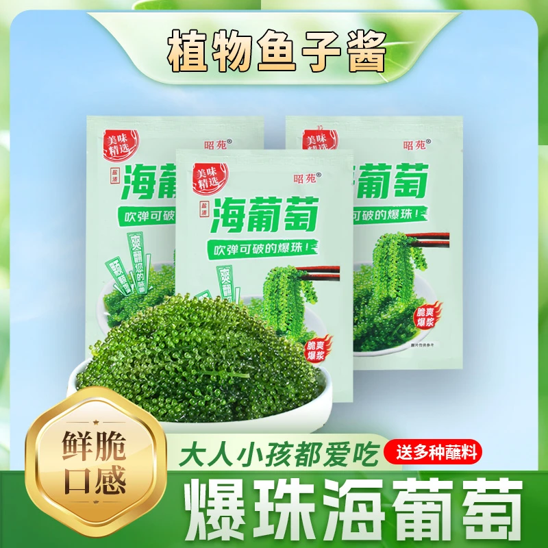 新鲜儿童海葡萄即食海带海藻长寿菜寿司绿色鱼子酱