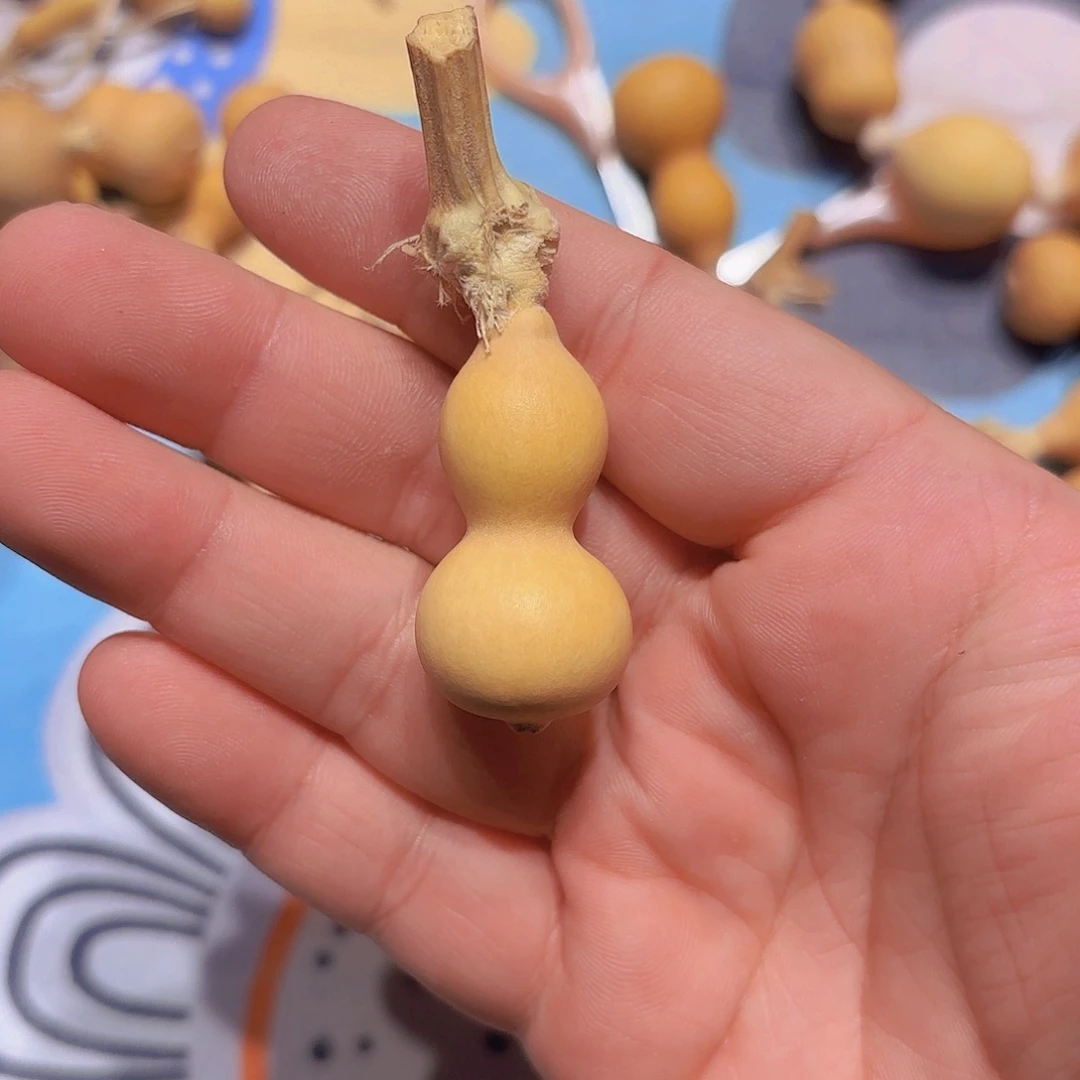 ****鬼哈哈哈哈哈哈哈哈哈