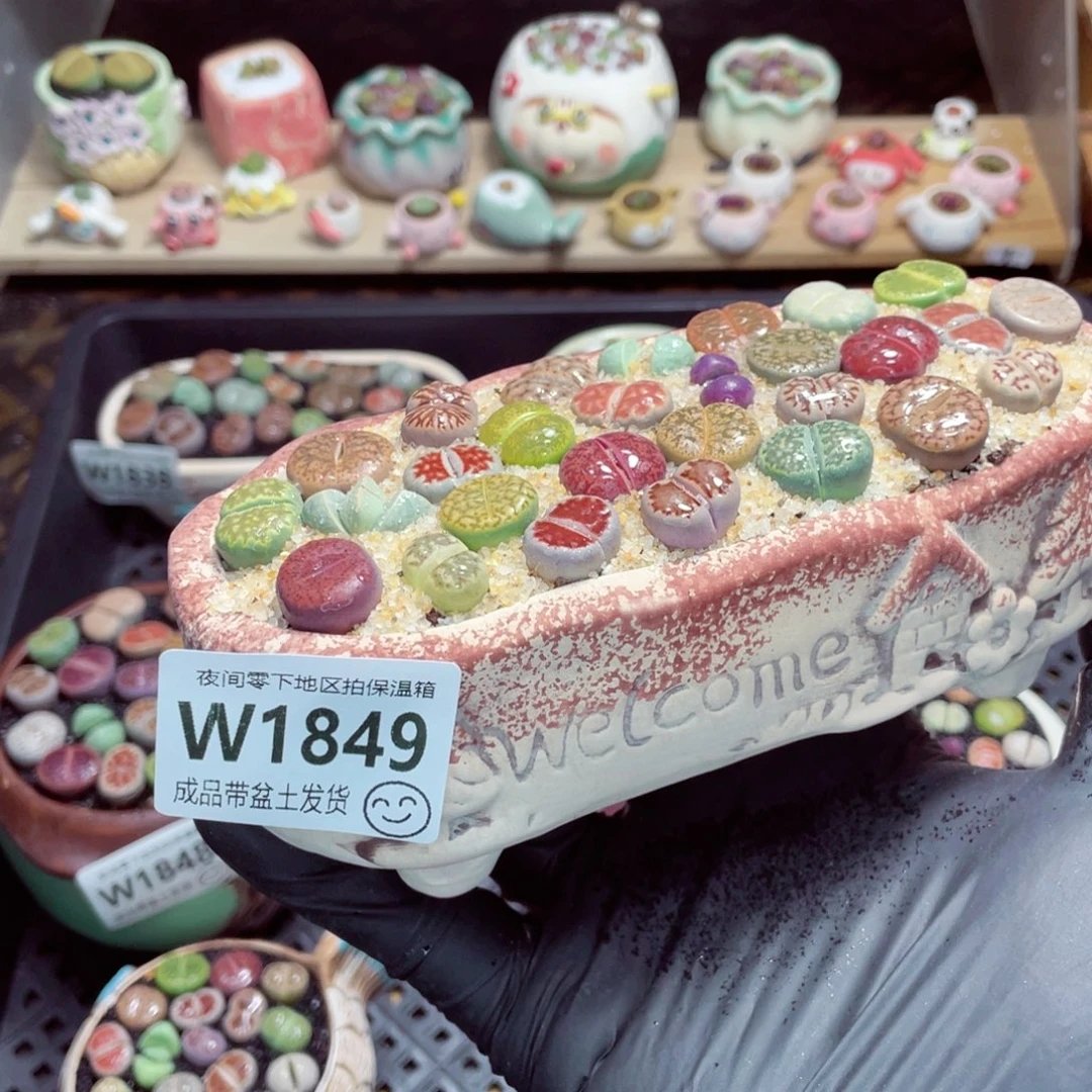 夜间零下地区拍保温箱w1849