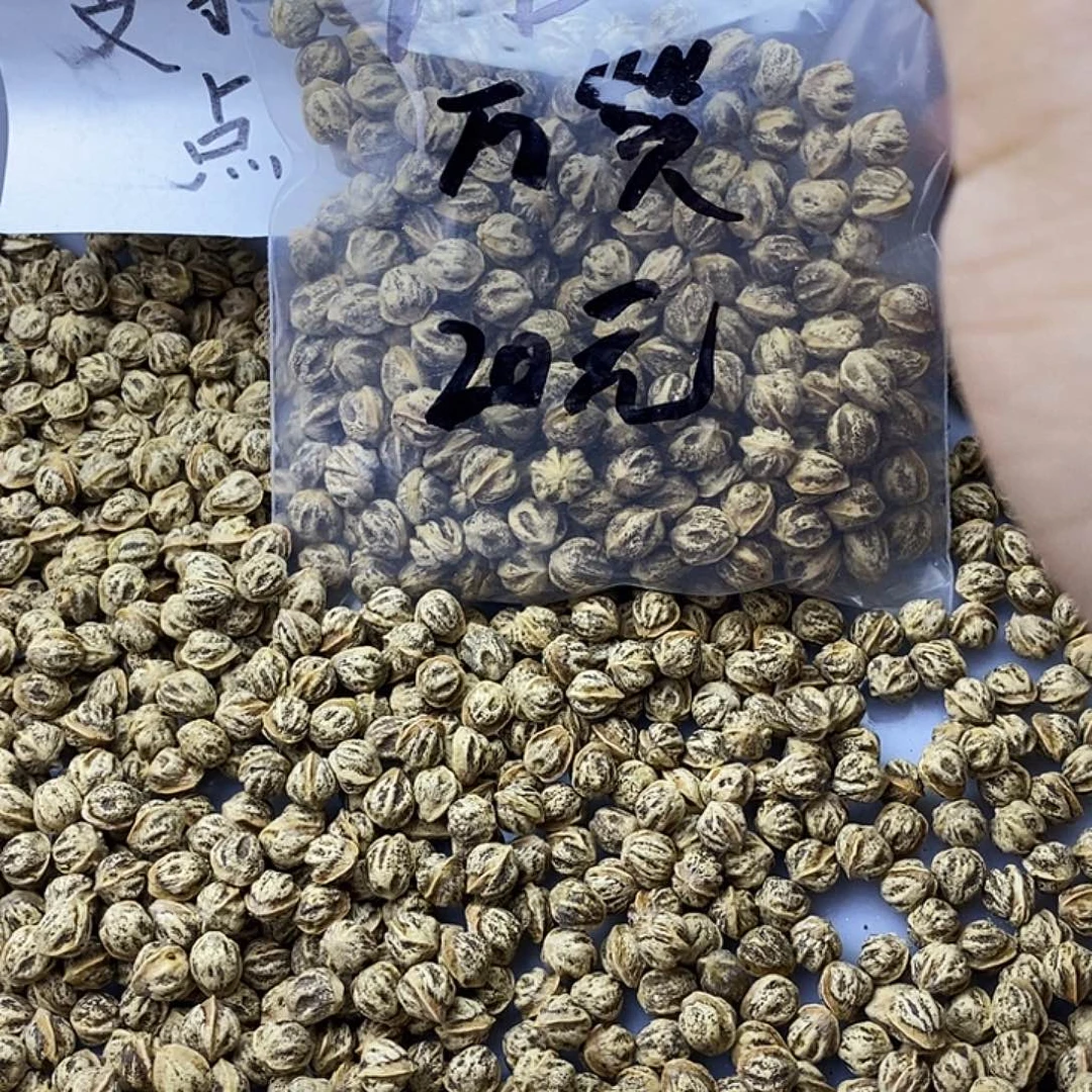 刺***猬柏香籽/百香籽吊坠