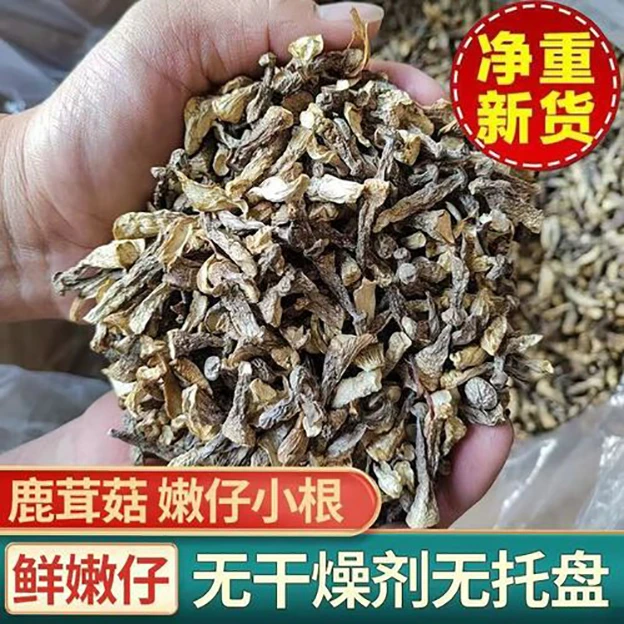 【无干燥剂】共1斤无硫鹿茸菇小根土特产高山菇嫩仔小根