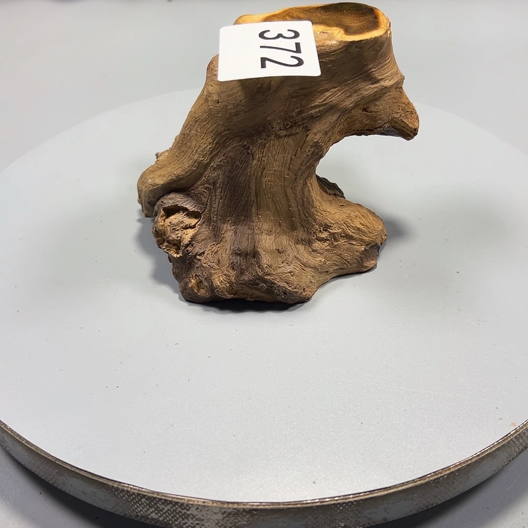 大果紫檀（缅甸花梨）萌*