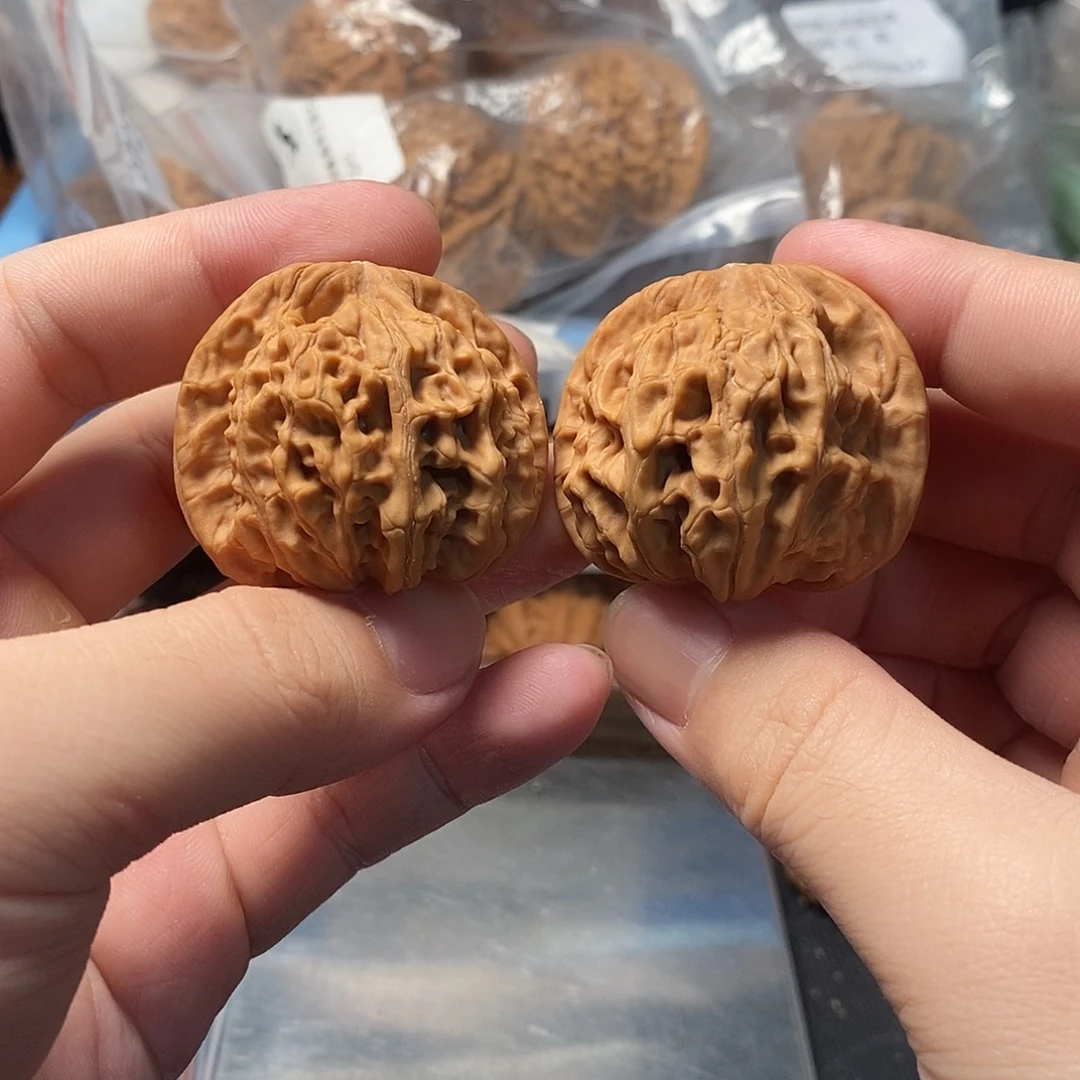 1文玩核桃天地41-495