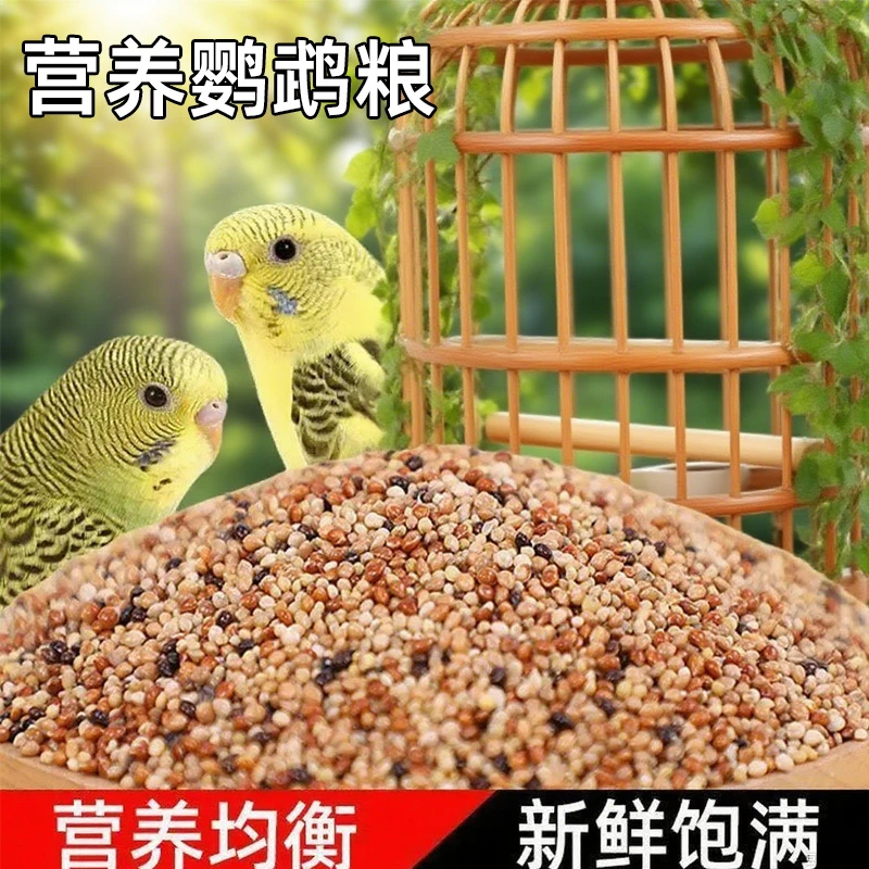 宠物混合鸟粮鹦鹉鸟粮混合饲料小太阳玄凤虎皮鸟食专用粮食谷黍