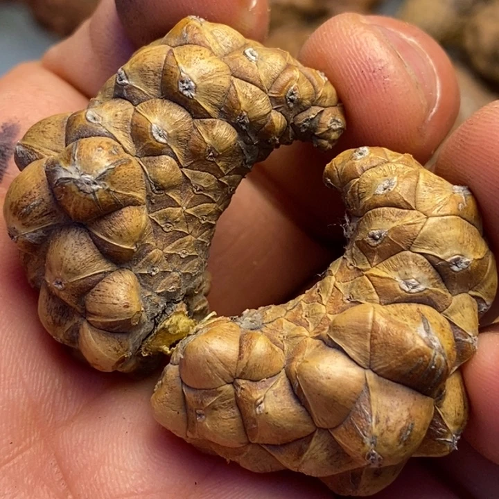 文玩核桃吊坠拿姐工艺43