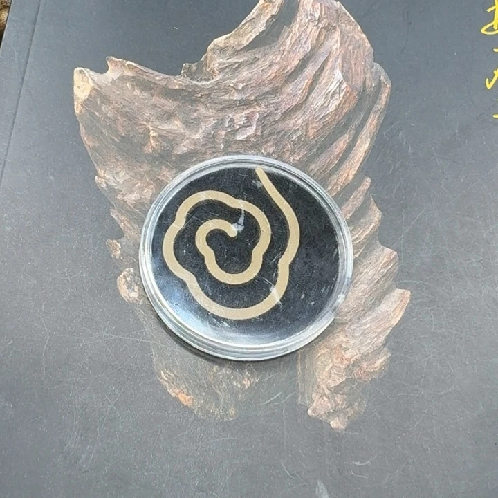 大叶紫檀（黑酸枝木类）