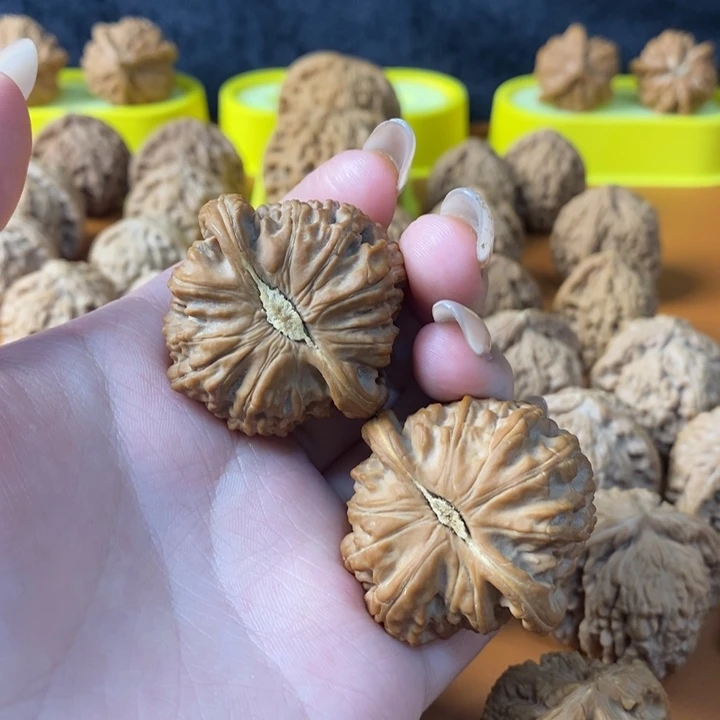 没***花木质类白狮子核桃文玩