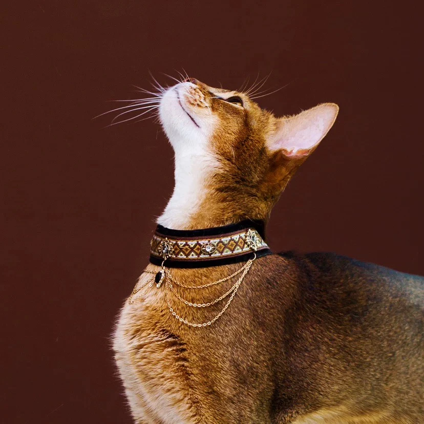 【超敢伙伴】埃及风黑金宠物项链狗狗猫咪项圈流苏可爱挂脖项圈