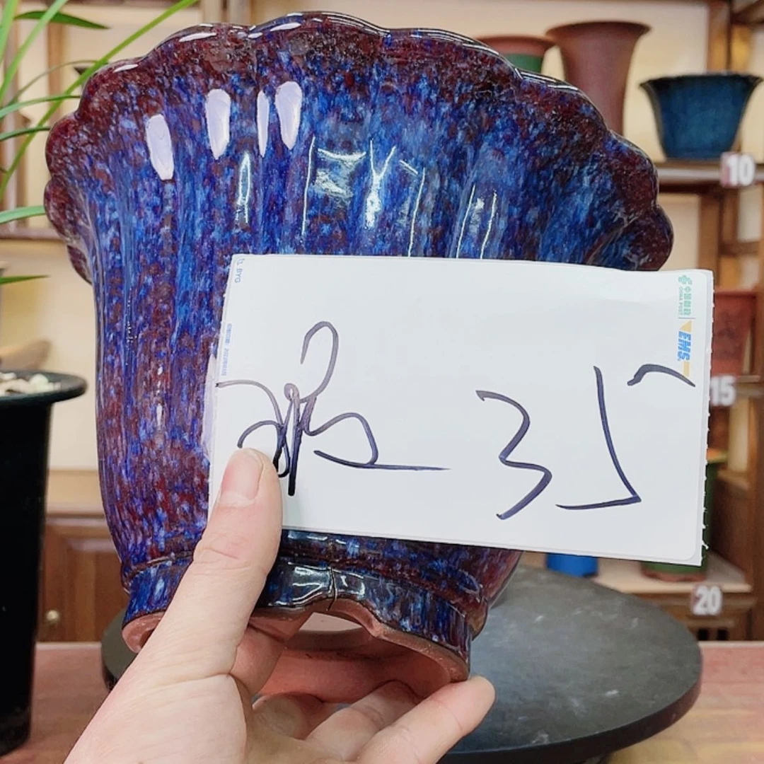 【闪购商品】紫砂花盆漂兰花75566688888