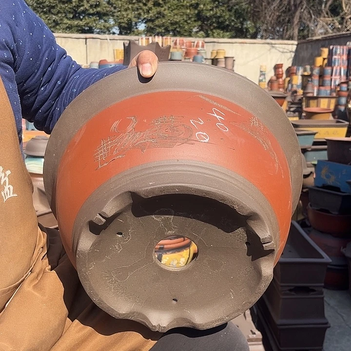 紫砂紫砂花盆盆栽