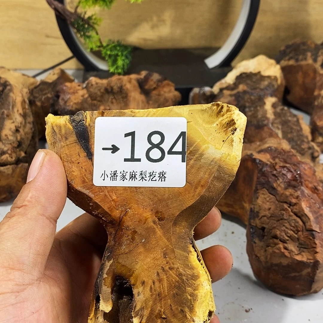 木侠*麻梨疙瘩木