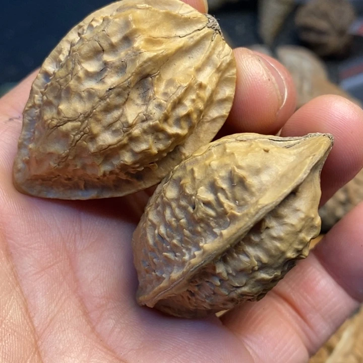 吊坠文玩核桃娜姐44