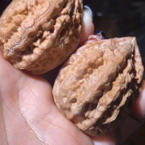 把件文玩核桃东北野生楸子小美64
