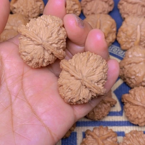 【闪购商品】文玩核桃吊坠鲨*?三角白37