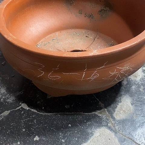 紫砂中国宜兴紫砂花，