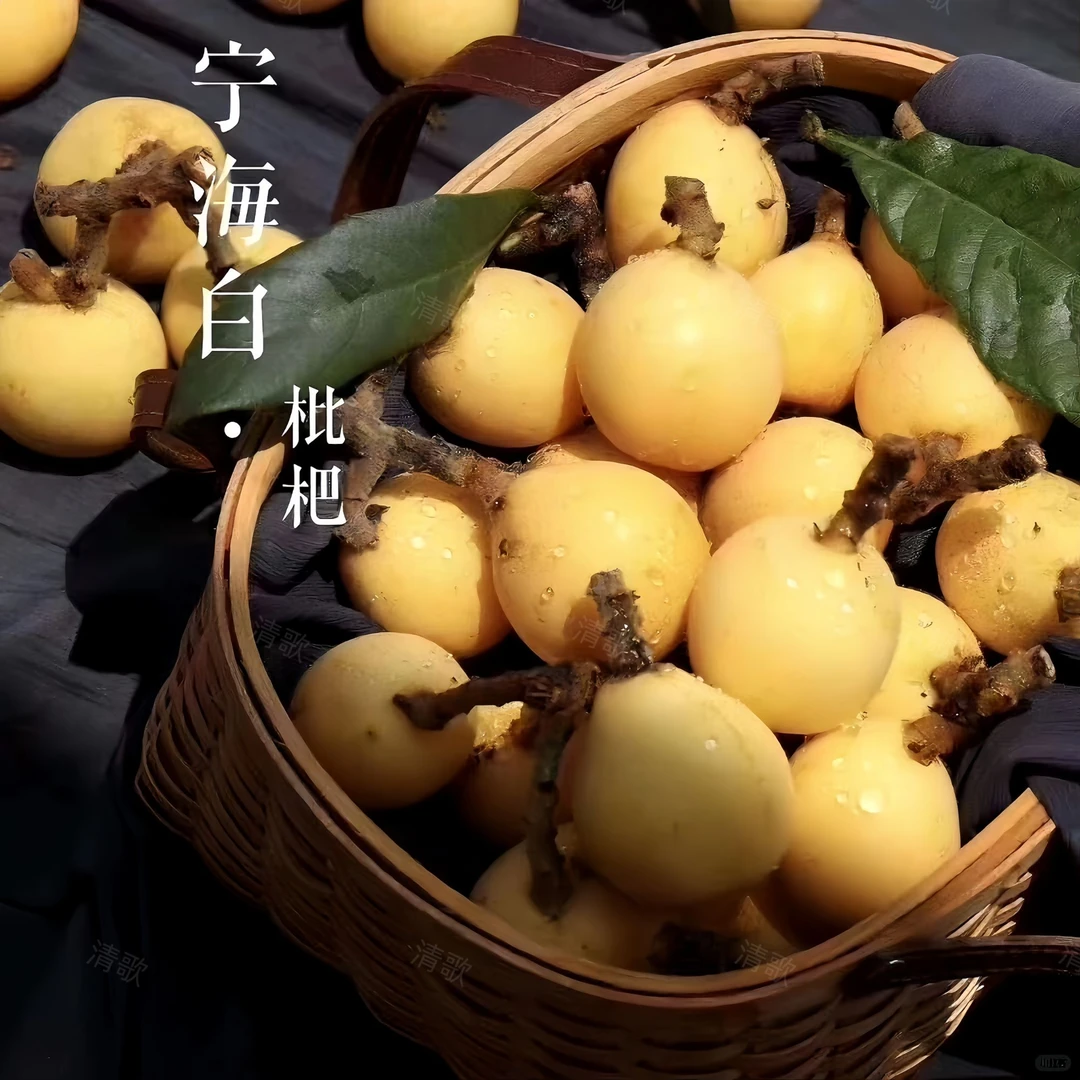正宗宁海白枇杷当季新鲜现摘白玉大果特甜多汁产地直发顺丰包邮