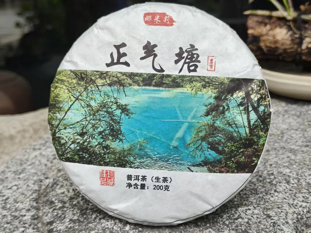 2022年正气塘混采生茶200克/饼