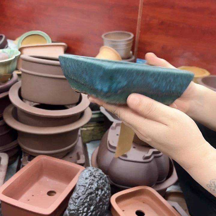 紫砂花盆紫砂的花也太漂亮