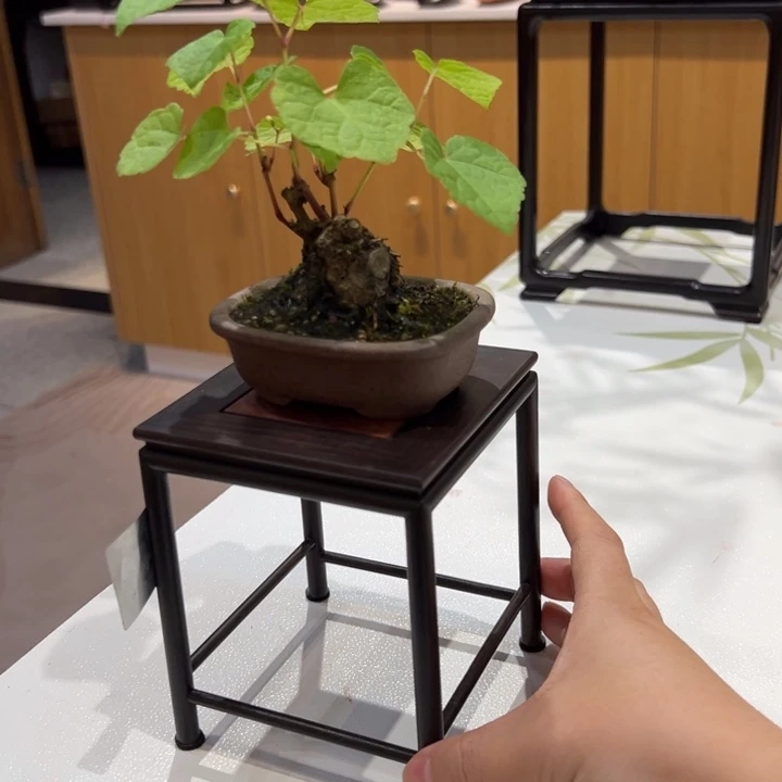 紫砂紫砂紫砂紫砂紫砂