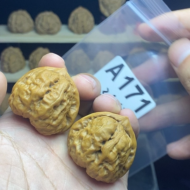 核桃A171ssss级蛤蟆头