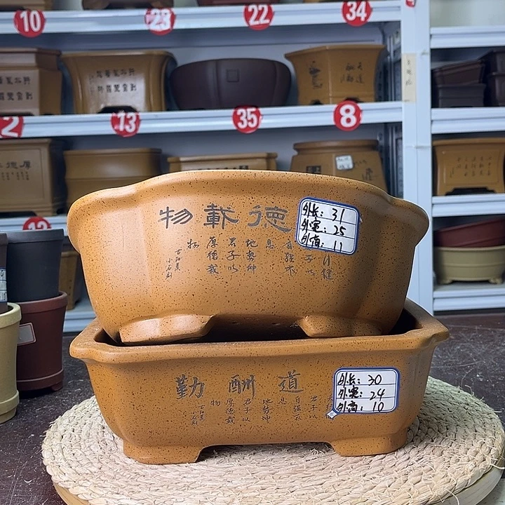 紫砂花盆你在一起