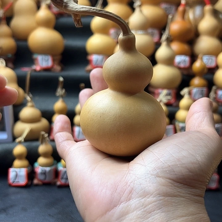 1****6天然葫芦葫芦葫芦葫芦葫芦