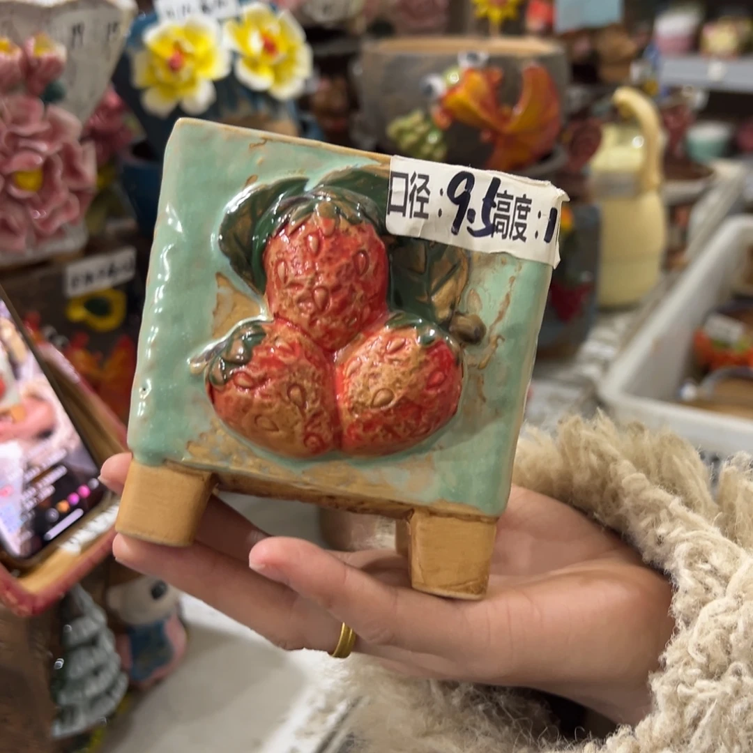 多肉花盆拍满20包邮爱退款拉黑