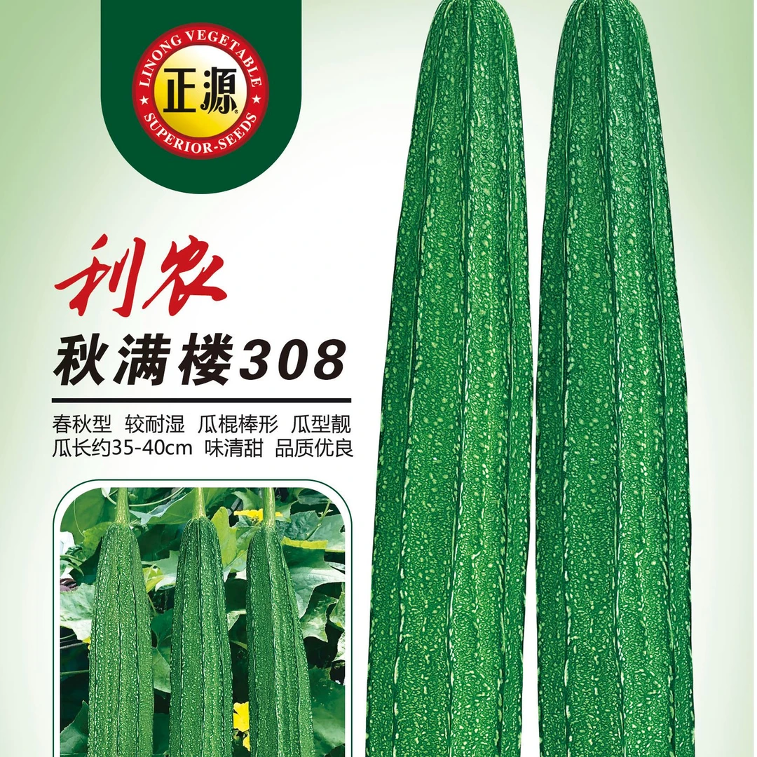 和利农正源利农秋满楼308丝瓜种子早熟蔬菜抗病抗低温耐高温农家