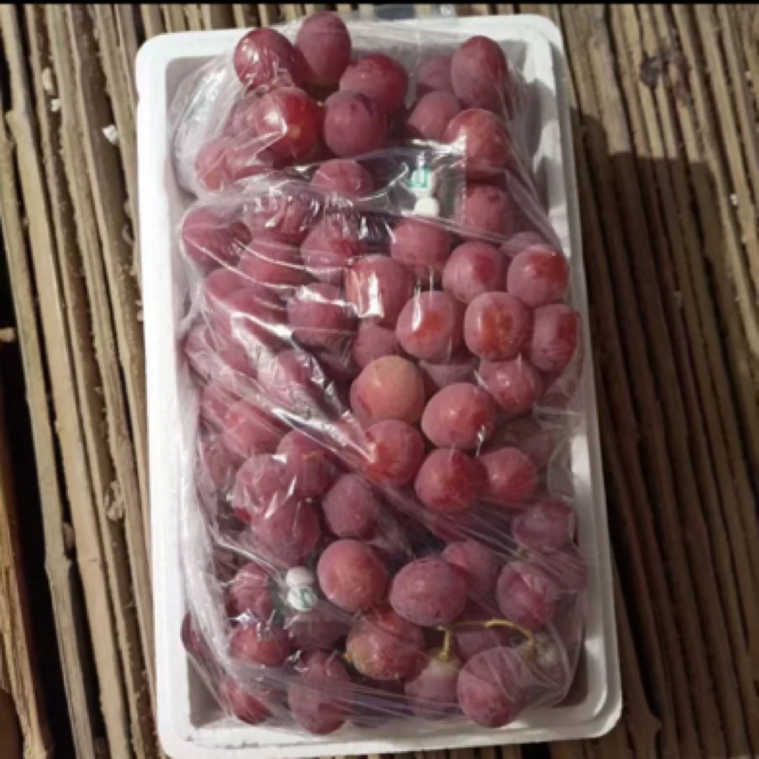 新鲜红提新鲜到货（泡沫箱带手提礼盒袋）