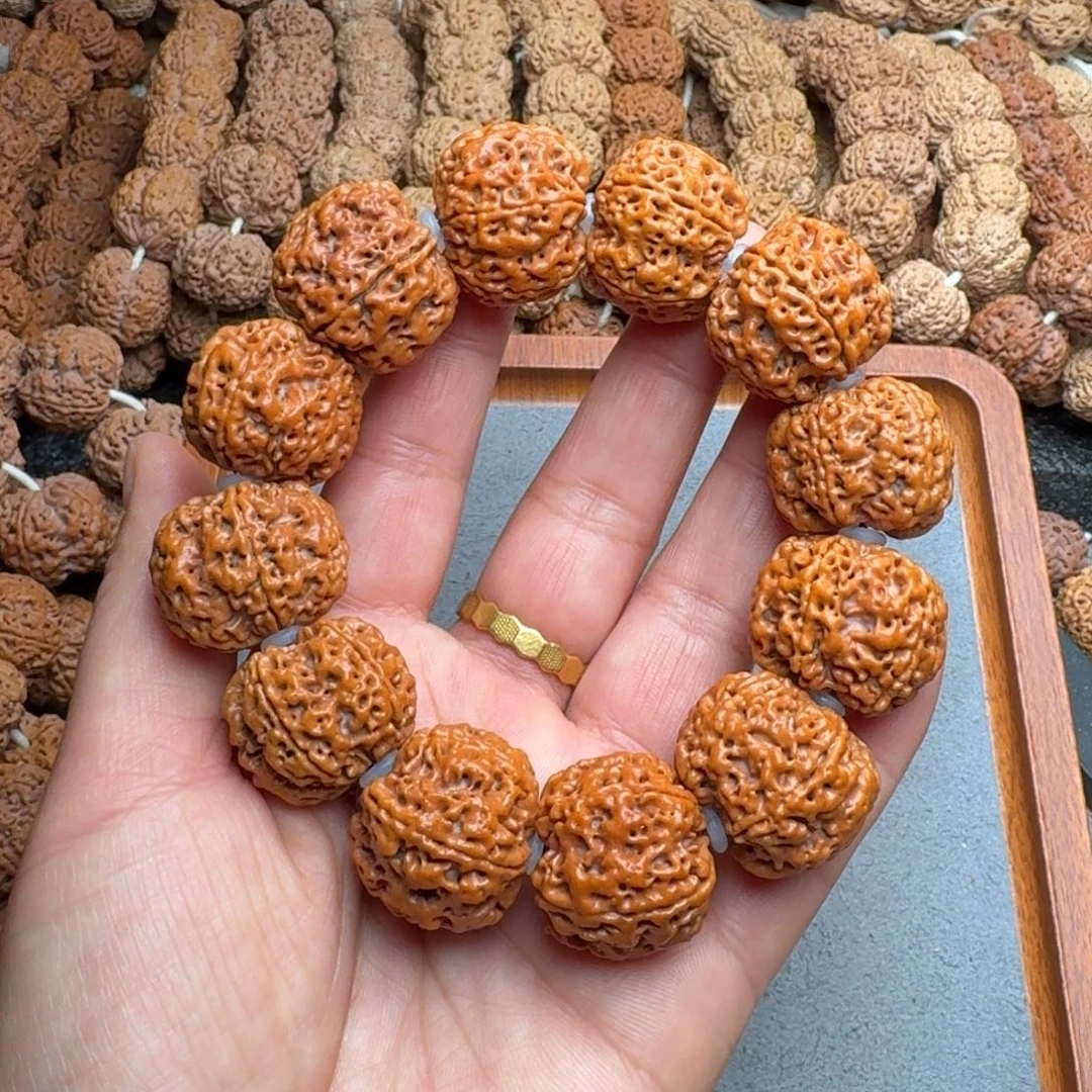 菩提菩提3号尼泊尔大金刚25梅花蜂窝