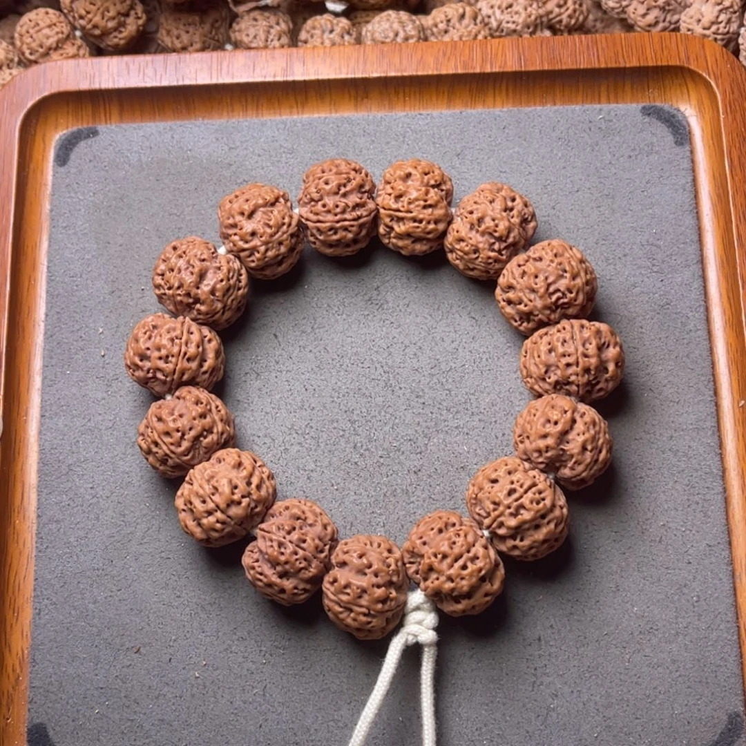 菩提籽类18号金刚菩提满肉蜂窝22